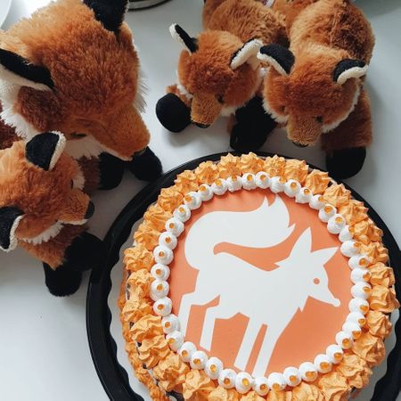 Kitfox_Cake